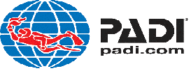 logo-3.png